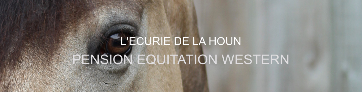 L'ECURIE DE LA HOUN